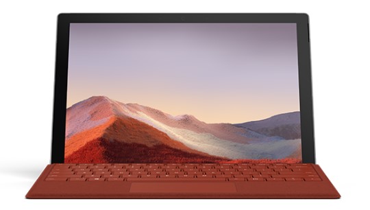 黄石清洁和维护 Surface